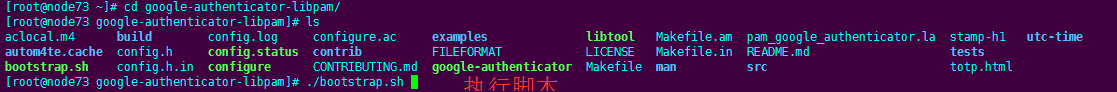 通过 Google 身份验证登录 linux 服务器